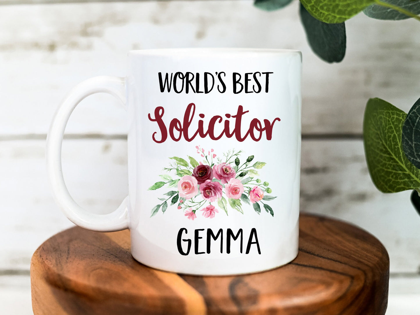 World's Best Solicitor Mug